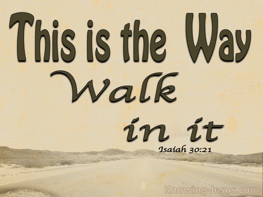 Isaiah 30:21 This Is The Way Walk In It (brown)